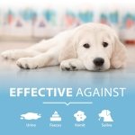 Dog urine remover – PIPI-Weg Spray 750 ml – enzymatic cleaner for dog pee, faeces & vomit – strong odour control for carpets, sofas & floors – natural, pet-safe formula – deep acting – by ARKA - Image 4