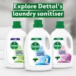 Dettol, Washing Machine Cleaner, Pine Scented, 250ml, Antibacterial, Removes Bacteria, Odours, Limescale and Hidden Dirt, Lasting Freshness, Kills 99.9 Percent of Bacteria - Image 2