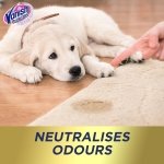 Vanish Oxi Action Upholstery & Carpet Cleaner, Stain Remover Foam for Large Area Cleaning, 600ml | Spring Flowers Fragrance | Cleans and Freshens your Carpet - Image 4