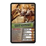 Top Trumps Spiders Classics Card Game, Discover facts about the Goliath bird eater, Black Widow and Wheel Spider in this educational pack, 2 plus players makes a great gift for ages 6 plus - Image 4