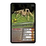 Top Trumps Spiders Classics Card Game, Discover facts about the Goliath bird eater, Black Widow and Wheel Spider in this educational pack, 2 plus players makes a great gift for ages 6 plus - Image 3