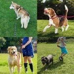 Slip Lead Dog Leash, 2M Reflective Training Dog Lead with Soft Padded Handle, Pet Leash for Small, Medium, Large Dogs and Cats, Green - Image 3