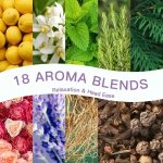 SALUBRITO Essential Oil Roll On Set, 6x10ml Aromatherapy Oil Roller Ball with Lavender, Peppermint Essential Oil Blend for Skin, Anxiety Relief, Relaxation Gift for Women - Sleep, Breathe - Image 5