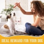 PACK'N PRIDE Dog Treats with Carrots, 1 Pack*320g Rawhide Free Dog Chews with Chicken Breast Meat, Low-Fat, High in Protein - Image 2