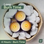 Zuvo 8-Hour Unscented Tea Light Candles (50-Pack) - Long-Lasting with Cotton Wicks, Clean Burning, 3.8 x 2.3 cm, White - Image 2