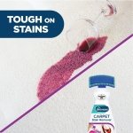 Dr. Beckmann Carpet Stain Remover | Violet Blossom | Works in 3 mins | 650 ml - Image 3