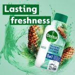 Dettol, Washing Machine Cleaner, Pine Scented, 250ml, Antibacterial, Removes Bacteria, Odours, Limescale and Hidden Dirt, Lasting Freshness, Kills 99.9 Percent of Bacteria - Image 4